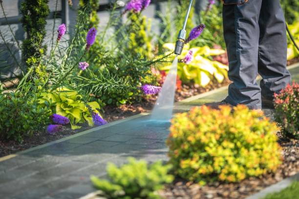 Best Spring Cleaning  in St Ignace, MI