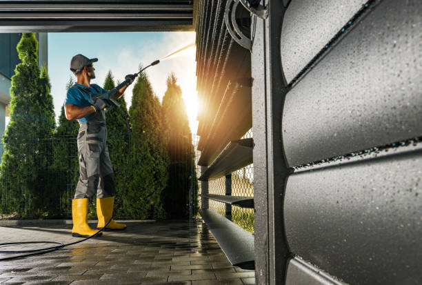 Best Soft Washing  in St Ignace, MI